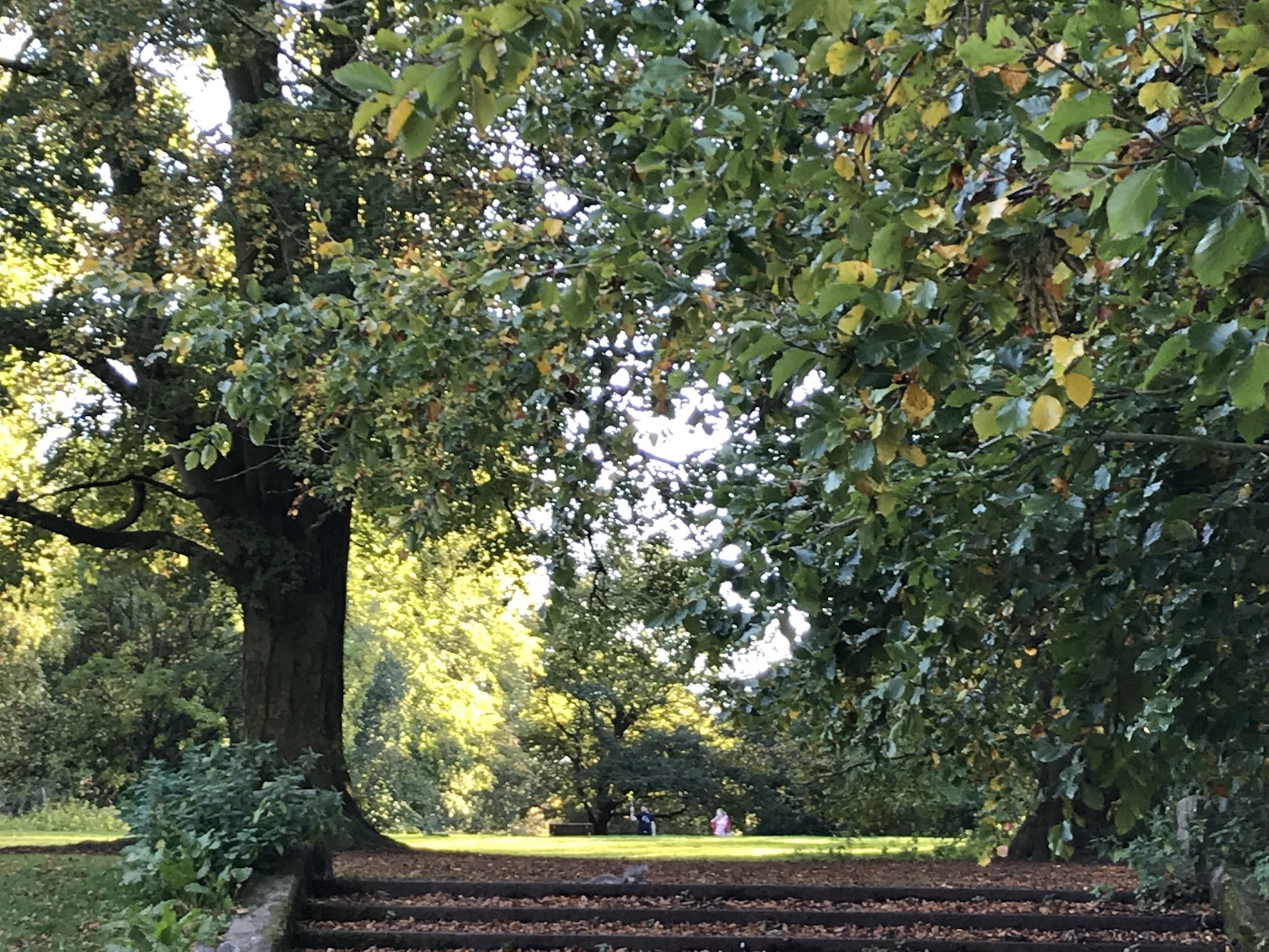 8F312955-29C3-429B-A833-9CF1315D9E61